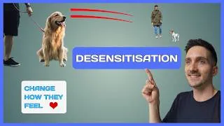 Thumbnail: Desensitisation in Dog Training: A Science Based Guide