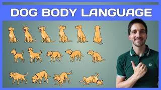 Thumbnail: Dog Body Language Explained Simply
