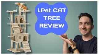 Thumbnail: i.Pet Cat Tree – Honest Review After Setup