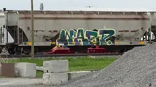 Thumbnail: CN Local in St. Hyacinthe, QC. #trains #cnrail #railfanning #railfan #freighttrain