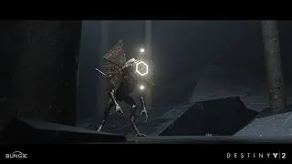 Thumbnail: Destiny 2: Rare Combatant Exploration
