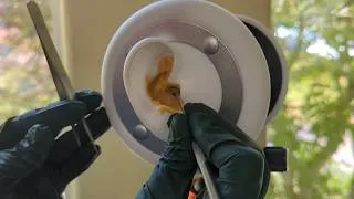 Thumbnail: ASMR - Ear Cleaning Wax Removal and Treatment - Gloves, Soft Spoken