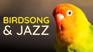 Thumbnail: Relaxing Jazz & Nature Sounds 🌿 Calm Music for Sleep & Study