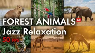 Thumbnail: 1 Hour of Relaxing Forest Animals & Jazz Music | 4K Nature Ambience (50fps)