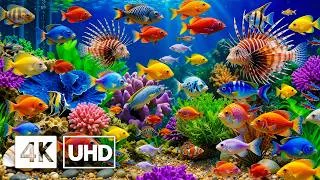 Thumbnail: Explore the Ocean Paradise in 4K — Beautiful Marine Life and Coral Reefs