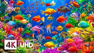 Thumbnail: Incredible Aquarium 4K ULTRA HD 🐟 Discover Exotic Sea Creatures & Crystal Clear Ocean Beauty