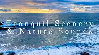 Thumbnail: 4K - Relaxing Ocean Waves & Seagull Sounds: Escape to Coastal Paradise, Beautiful California Beaches