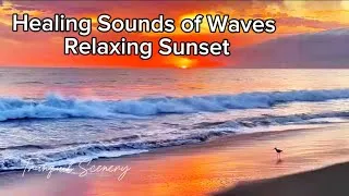 Thumbnail: Instant Relaxation: Healing Sounds of Ocean Waves 🌊Coastal Sunsets - Wild Birds Beach Scenes in 4K