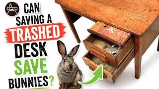 Thumbnail: Rescuing a Forgotten Desk...  for Abandoned Rabbits!