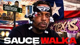 Thumbnail: The Tragic Life of Sauce Walka
