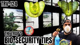 Thumbnail: Keeping Your Reptile Collection Safe Part 1