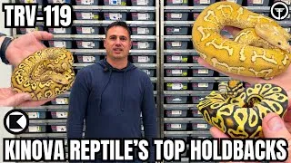Thumbnail: TOP Ball Python Holdbacks of 2024 w/ Kinova Reptiles | TRV-119