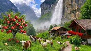 Thumbnail: I Found Most Peaceful Village In Switzerland 🇨🇭 Surreal Summer Walk - Stäubifall & Farm Animals