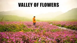 Thumbnail: Valley of Flowers - The most beautiful trek in India | Uttarakhand