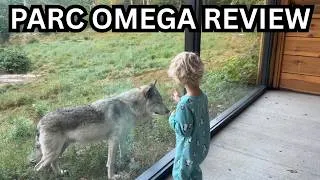 Thumbnail: Inside Canada’s Wildest Hotel Stay | Park Omega Wolf Cabin Review
