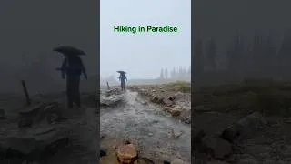 Thumbnail: Hiking in Paradise, Mt Rainier, Washington