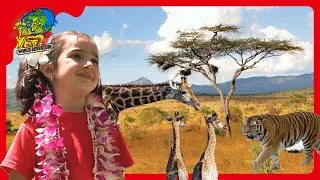 Thumbnail: 🐅 Kids Visit Tigers in Thailand & Giraffes in Kenya! 🦒 @travelkidsTVSHow