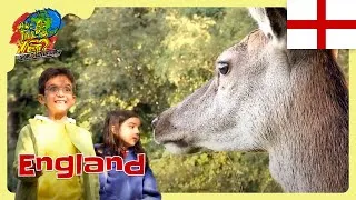 Thumbnail: 🌳 Exploring a 1,000-Year-Old Forest 🐿️🐻 @travelkidsTVSHow