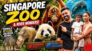 Thumbnail: Singapore Zoo & River Wonders 🇸🇬 | Worth the Money? இதோ FULL Details!