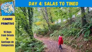 Thumbnail: Camino Primitivo Day 4 of 10 - Salas to Tineo