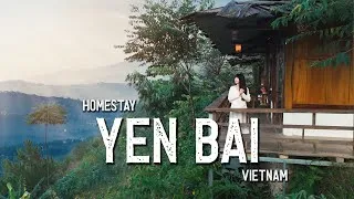 Thumbnail: 2 Days Of Healing At Suoi Giang And Mu Cang Chai Vietnam | Southeast Asia | A Travel Chronicle