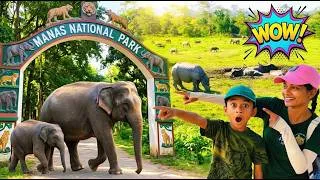 Thumbnail: 🐅 Manas National Park Jungle Safari | My Wildest Safari Experience in Assam!