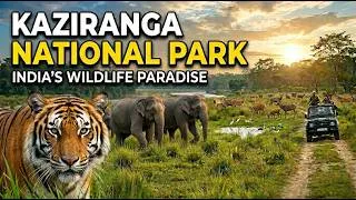 Thumbnail: 🐅 Tiger Sighting in Kaziranga National Park | Epic Assam Safari Adventure!
