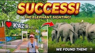 Thumbnail: SAFARI SUCCESS! We Tracked Down the Elephants of Kaziranga!