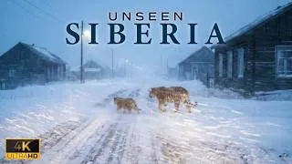Thumbnail: UNREAL SIBERIA - Russia's Most Brutal Wilderness!