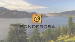 Thumbnail: Treegroup's Ponderosa Development Team