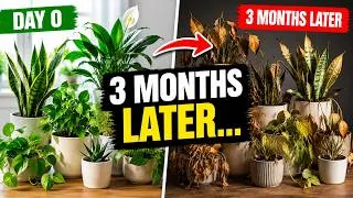 Thumbnail: I Neglected 12 Easy Indoor Plants for 3 Months|Honest Results You Need to See Before Buying