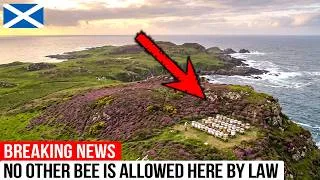 Thumbnail: He Fought the Scottish Government for 9 Years to Save His Bees — Look What Happened Next