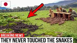 Thumbnail: They Released 30 Mongooses on an Island Full of Snakes — 45 Years Later, Nobody Saw This Coming