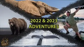 Thumbnail: Wildlife & Adventures of 2022 to 2023 | Trekking with Trevor Trailer