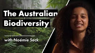Thumbnail: Australia's Wildlife: Separating Fact from Fear