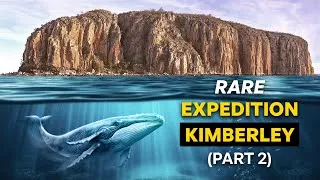 Thumbnail: Discovering the Nursery Grounds of Humpback Whales #2