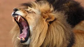 Thumbnail: Zambia Documentary