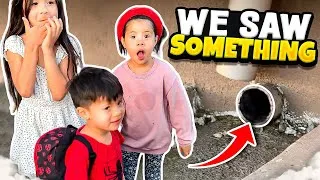 Thumbnail: We Saw Something! - MYSTERIOUS