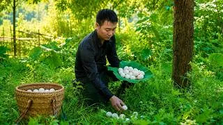 Thumbnail: Trieu Duc Couldn’t Believe How Many Eggs He Harvested