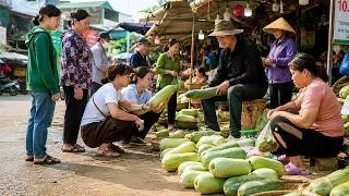 Thumbnail: From Farm to Market - Trieu Duc’s Winter Melon Harvest Sells Out Quickly