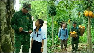 Thumbnail: TieuNhu’s Unexpected Reward — A Peaceful Day Harvesting Papayas with the Veteran & Mr. Tien