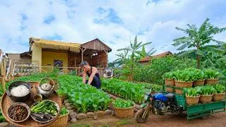 Thumbnail: Cook Caramelized Pork Dip With Boiled Homegrown Vegetables  – Harvest Choy Sum For The Market