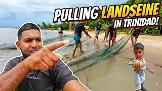 Thumbnail: Pulling a landseine in Trinidad catch | clean | cook   🇹🇹 