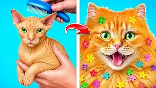 Thumbnail: Unbelievably Cute & Funny Pets Compilation