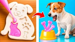 Thumbnail: Crazy Funny Pets That Will Make You Laugh