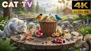 Thumbnail: 🐦 Cat TV | Colorful Birds in a Blooming Garden 🌺 30 Minutes