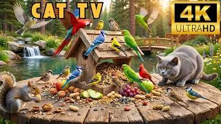 Thumbnail: CAT TV 4K HDR | Fast Flying Birds and Wildlife Motion for Indoor Cats | 4 Hours