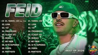 Thumbnail: FEID'S 2025 MEGA MIX 💚 MOST LOVED REGGAETON 2025 💚 BEST 30 FEID SONGS
