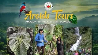 Thumbnail: Visit Ecuagenera in Ecuador “join the Group Trip“ for Plant Lovers September 2024