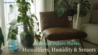Thumbnail: Tropical Houseplants and Humidity! Let’s talk Humidifier’s & Sensors for your plants …